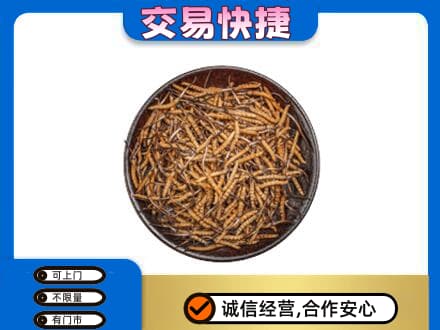 克孜勒苏州阿克陶礼品回收虫草.jpg